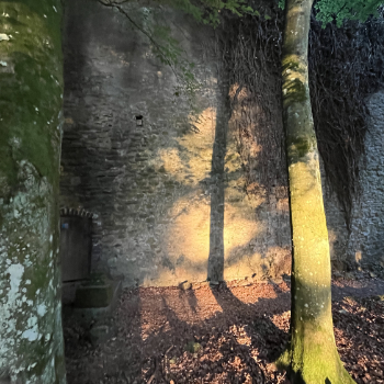 Schatten und Licht