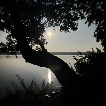 Beatrice Kahnt Starnberger See
