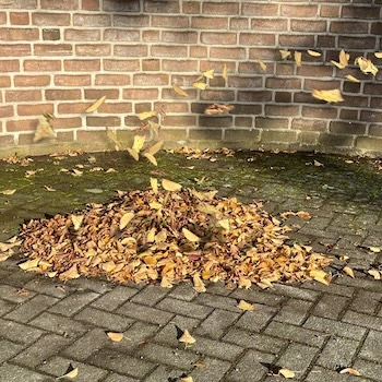 Herbstlaub wirbelt im Wind vor einer Backsteinmauer auf.